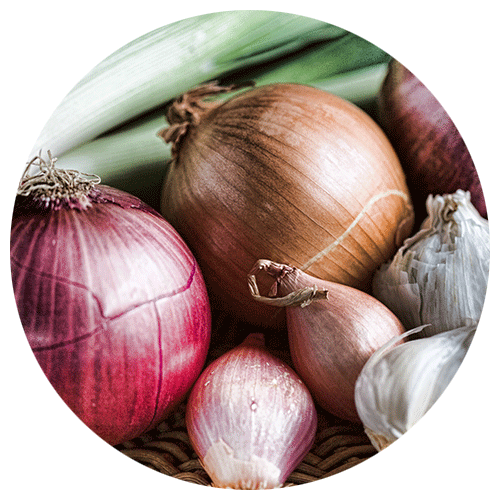 Onions, Garlic, Chives, Leeks & Shallots