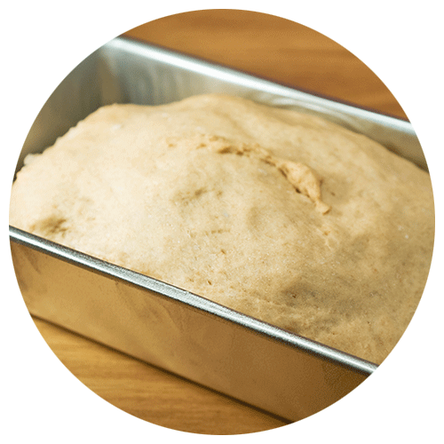 Rising Bread Dough