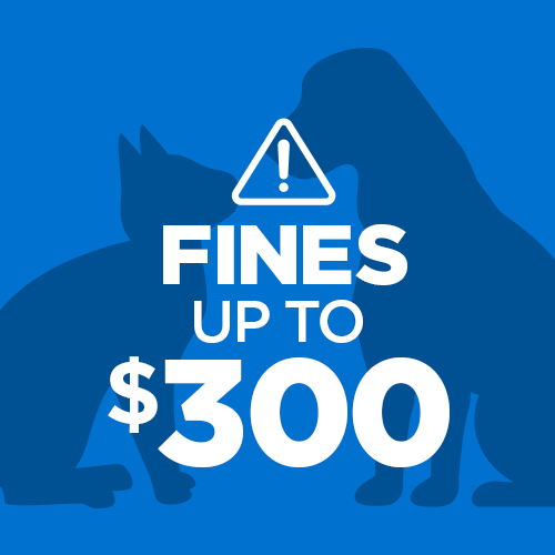 Fines up to $300