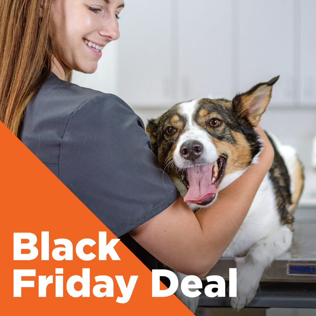 Black Friday Deal 2023 (Extended) Black Friday Deal 2023 (Extended)