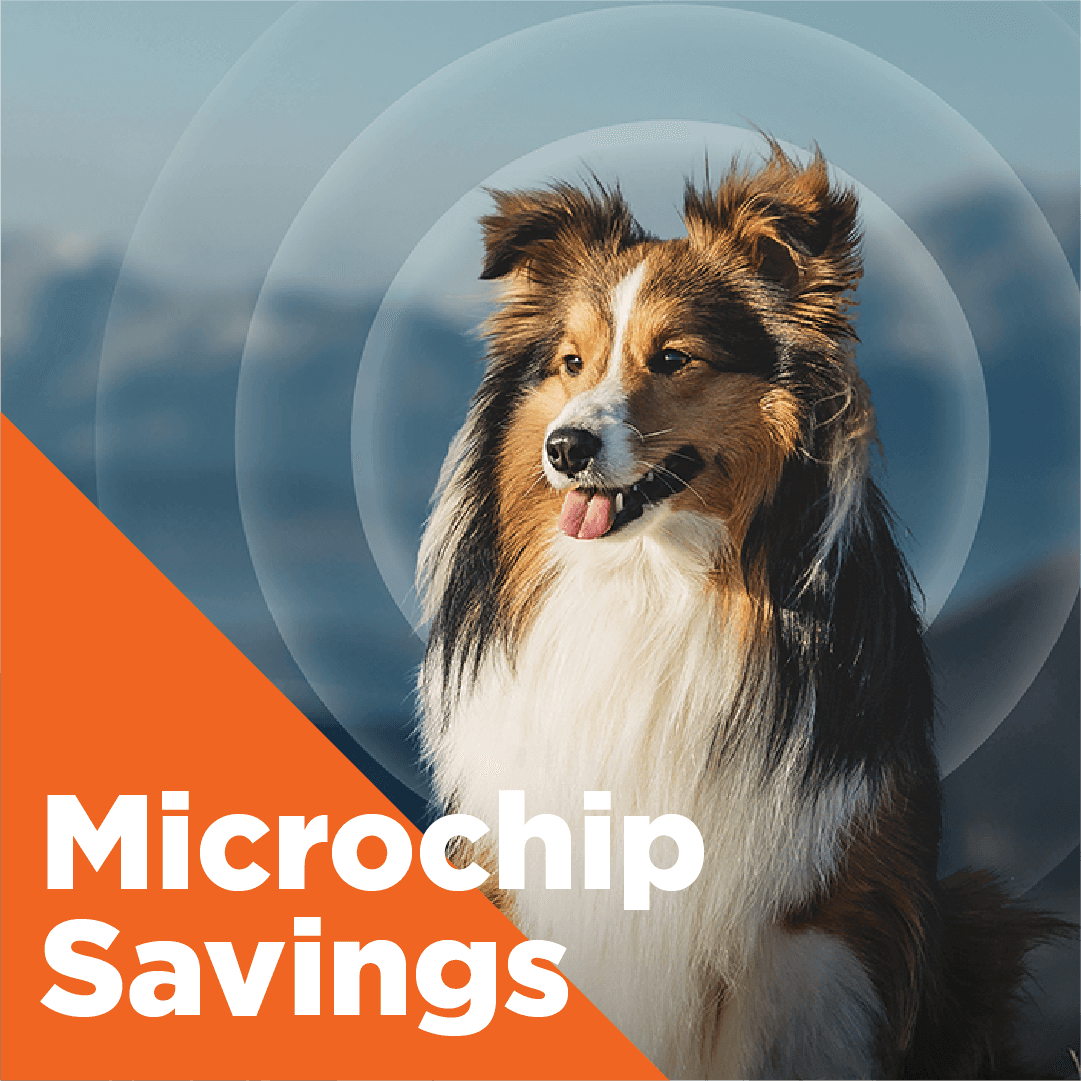 Microchip Savings