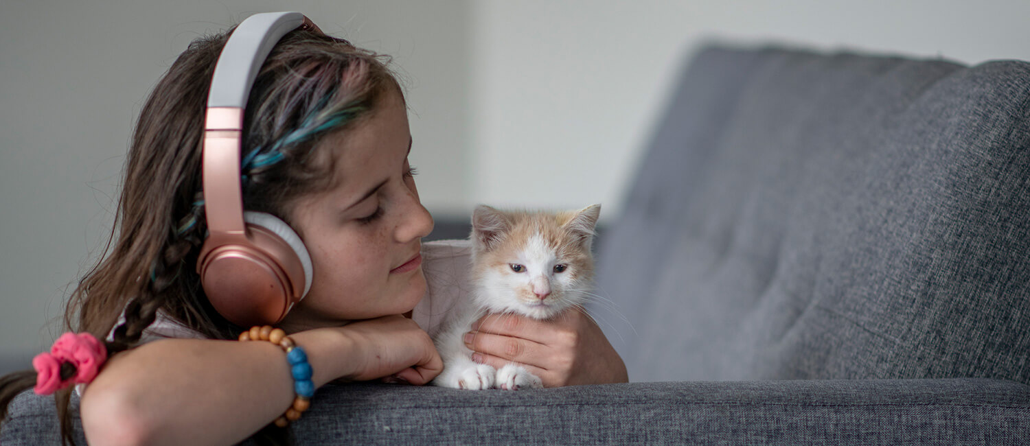 girl_with-kitten A puppy and an older dog both tug on opposite ends of a dog toy