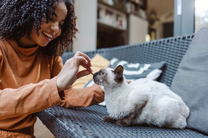 kitten_woman_treat Female vet smiling at a puppy