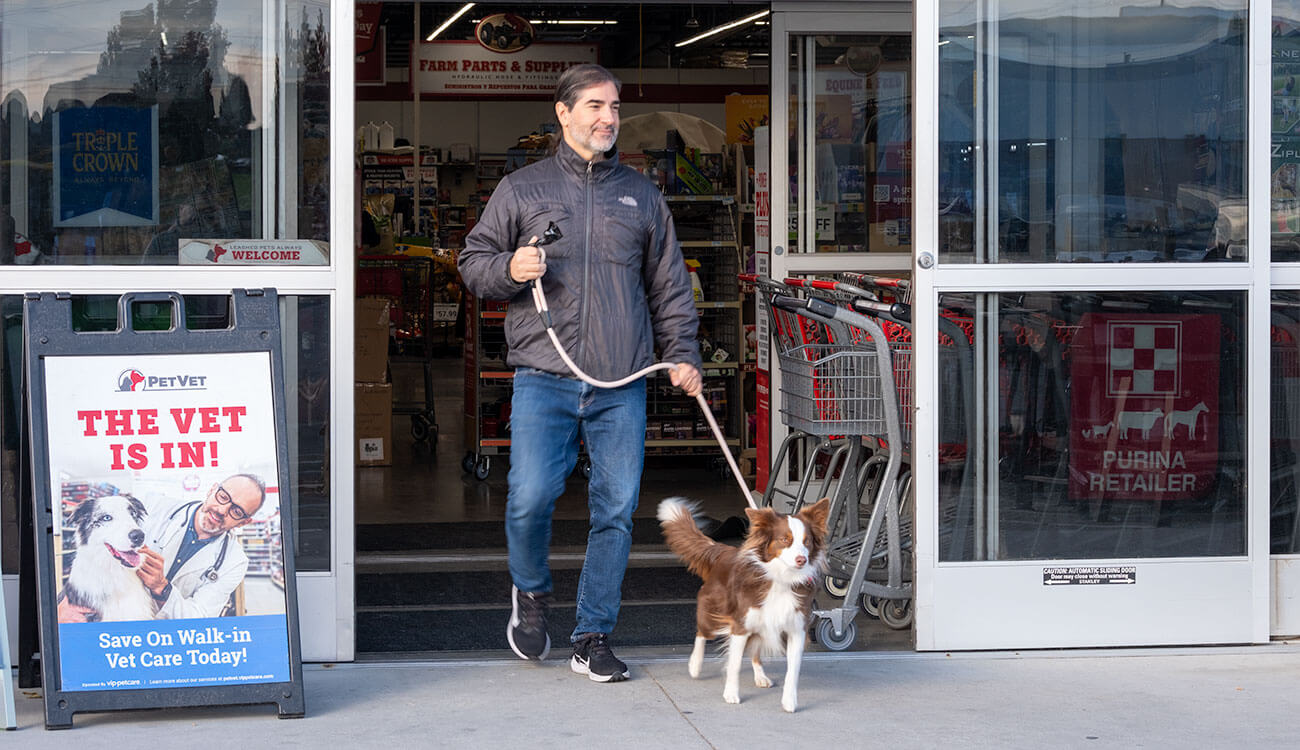 petparentwithdog vip-van