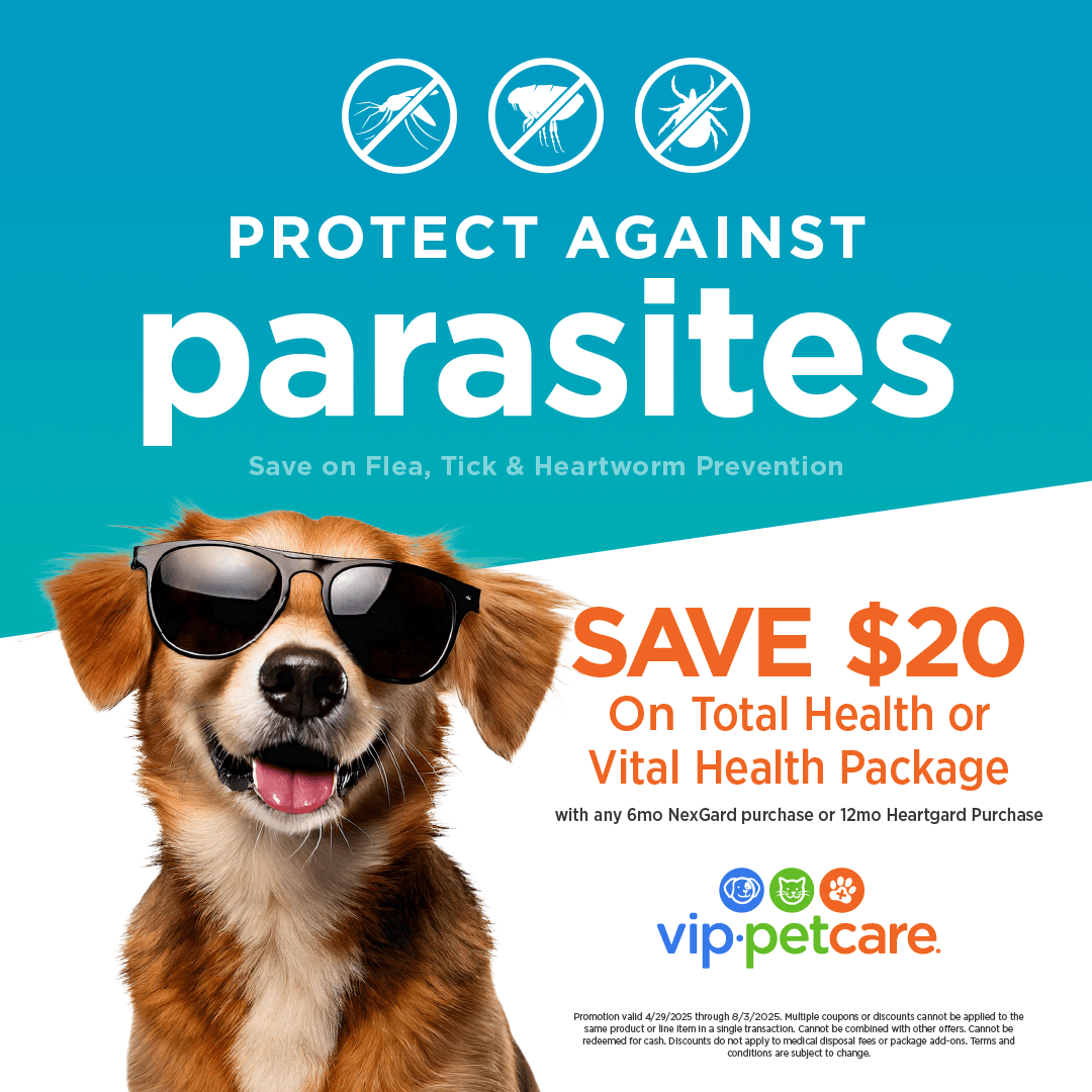 Protect Against Parasites1080x1080A Bugs Be Gone Bash