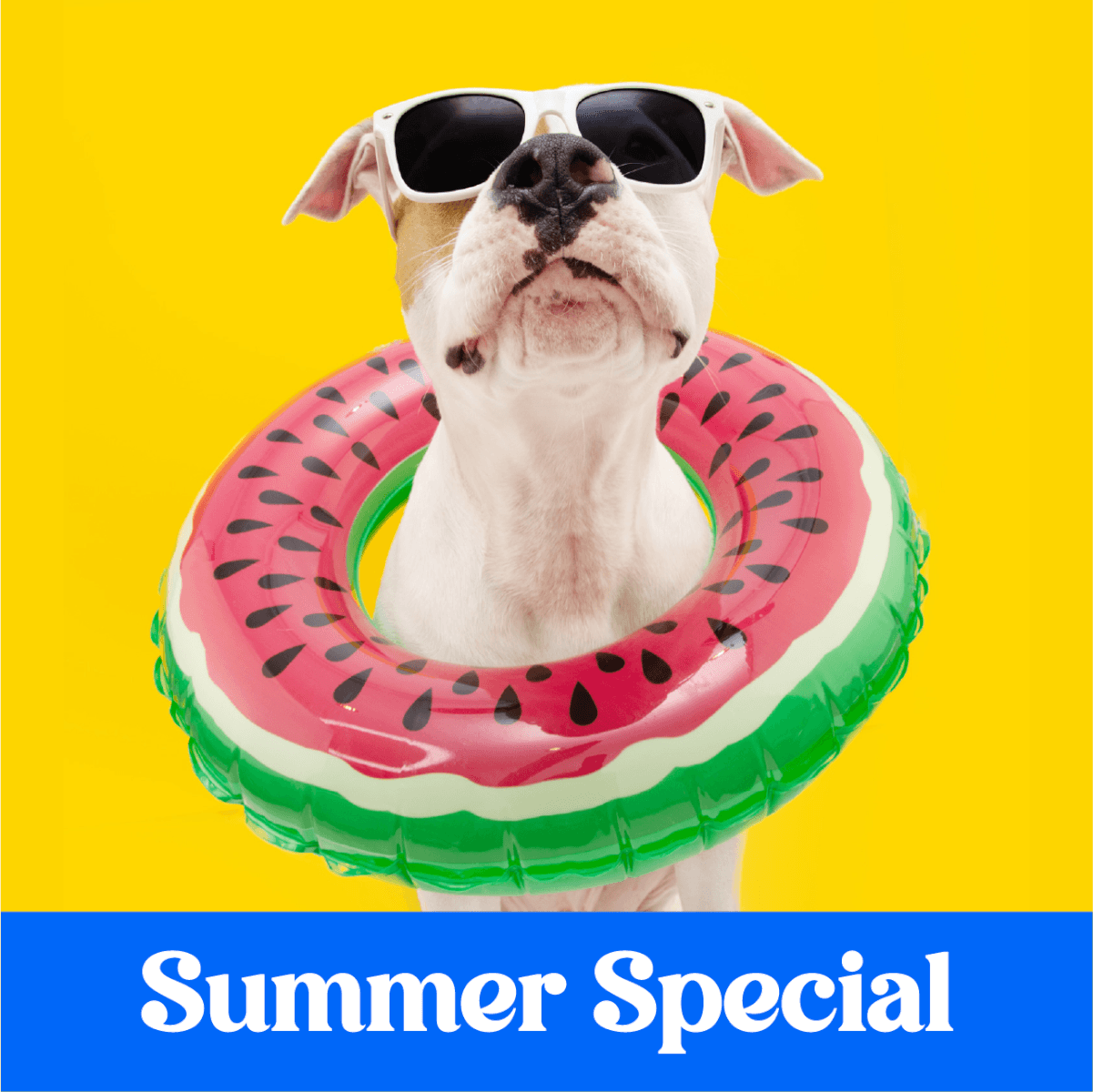 current promotions and coupons